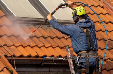 Démoussage et hydrofuge de toiture à Noalhat